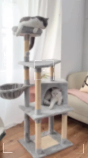 ISO RoHS Kratzturm für Katzen von Pet Bed als Haustierartikel